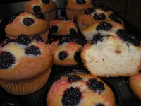 /album/kepgaleria/p8050053-jpg/