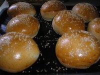 /album/kepgaleria/p7300040-jpg/